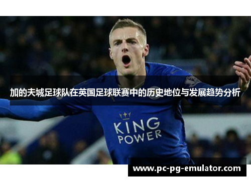 加的夫城足球队在英国足球联赛中的历史地位与发展趋势分析